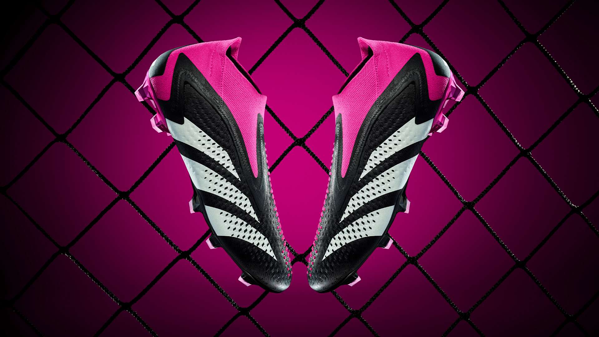 淘汰布莱顿 淘汰布莱顿