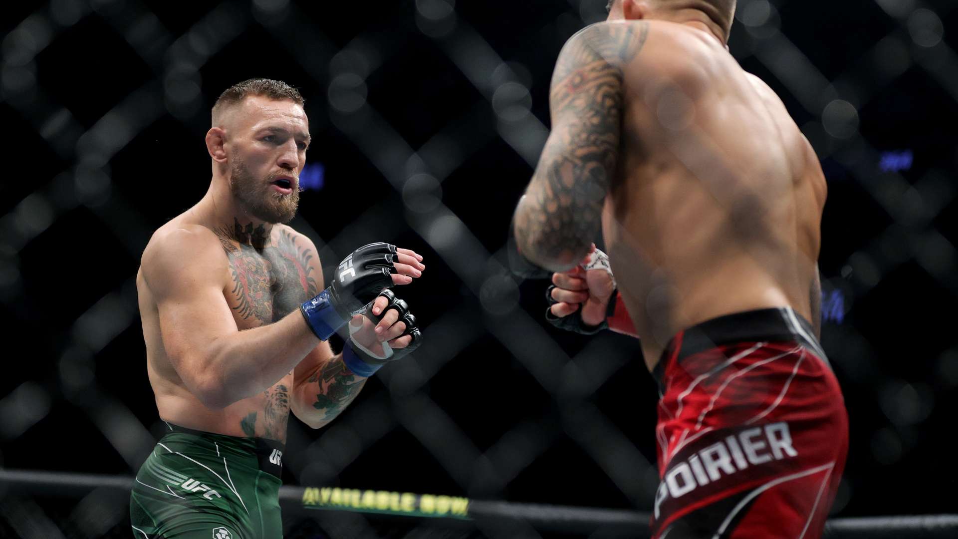 他們在常規 他們在常規